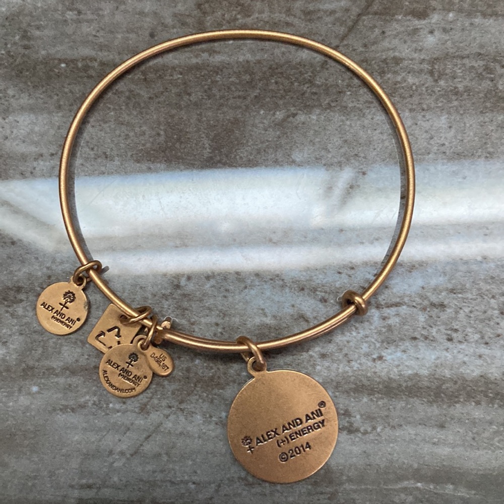 Alex And Ani World Globe Map Bangle Bracelet - image 7